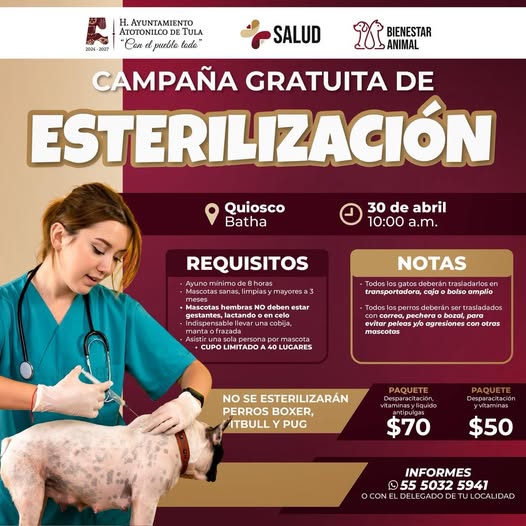 Continúa campaña de esterilización felina y canina gratuita en Atotonilco de Tula