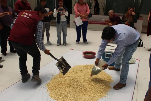 Imparten capacitación a productores de frijol y maíz de Atotonilco de Tula