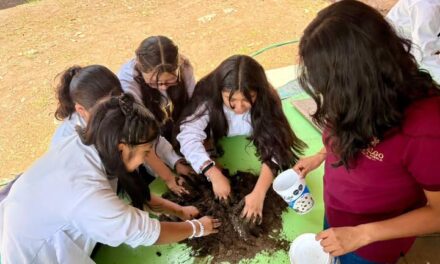 Lanzan programa «Reforestar para Transformar ‘Esferas de Vida» en Tepeji del Río