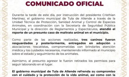 Rescatan caninos maltratados en Tula de Allende