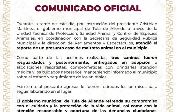 Rescatan caninos maltratados en Tula de Allende