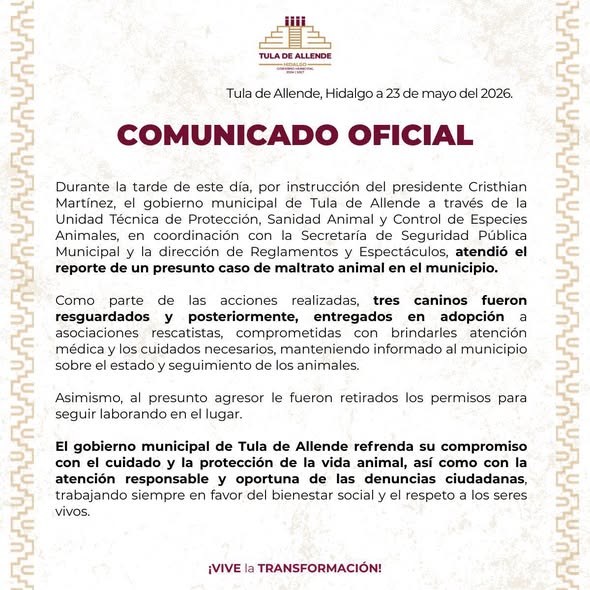 Rescatan caninos maltratados en Tula de Allende