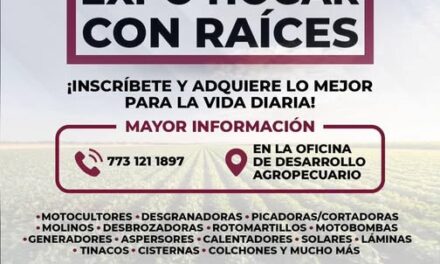 Impulsan el comercio y el desarrollo local en Tula de Allende