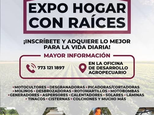 Impulsan el comercio y el desarrollo local en Tula de Allende