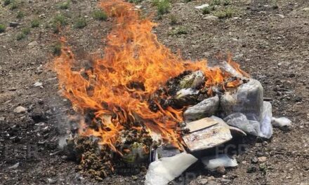 FGR LLEVÓ A CABO UN EVENTO DE INCINERACIÓN DE NARCÓTICOS Y DESTRUCCIÓN DE OBJETOS DE DELITO EN HIDALGO