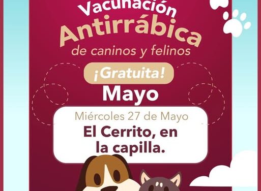 Hoy habrá campaña de esterilización canina y felina en El Cerrito