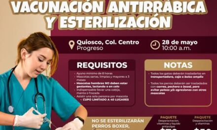 Habrá campaña de esterilización gratuita en Atotonilco de Tula