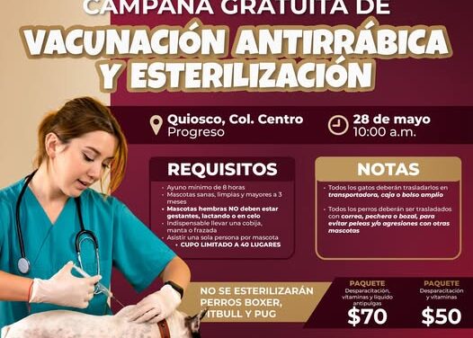 Habrá campaña de esterilización gratuita en Atotonilco de Tula