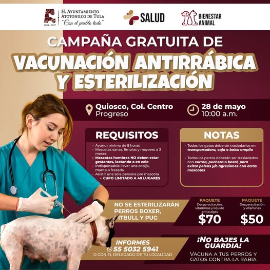 Habrá campaña de esterilización gratuita en Atotonilco de Tula