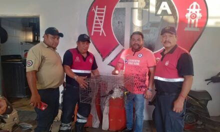 PC Tula atiende reporte de halcón herido