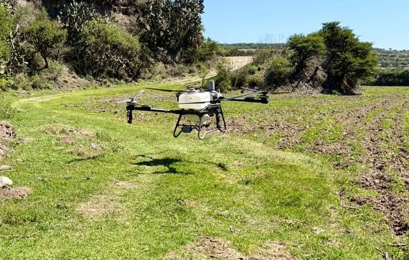Continúa aplicación de herbicidas con uso de dron agrícola