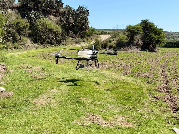 Continúa aplicación de herbicidas con uso de dron agrícola
