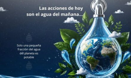 Las acciones de hoy son el agua del mañana
