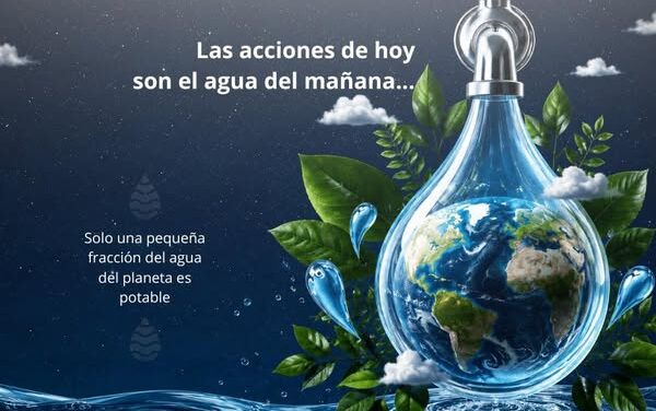 Las acciones de hoy son el agua del mañana