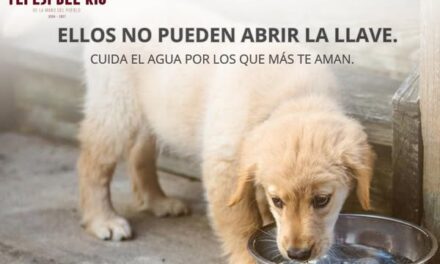 Cuida el agua, tu mascota de compañía la necesita para vivir