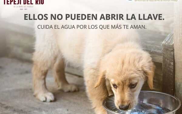 Cuida el agua, tu mascota de compañía la necesita para vivir