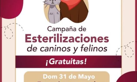 Aún estas a tiempo de de llevar a tu canino o felino a la campaña de esterilización en el centro de Tepeji del Río