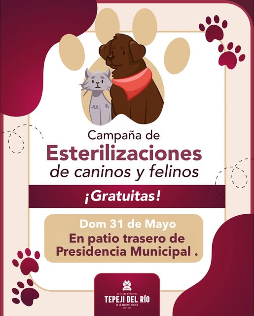 Aún estas a tiempo de de llevar a tu canino o felino a la campaña de esterilización en el centro de Tepeji del Río