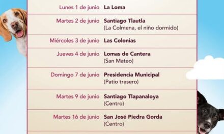 Calendario de esterilización canina y felina para el mes de junio en Tepeji del Río