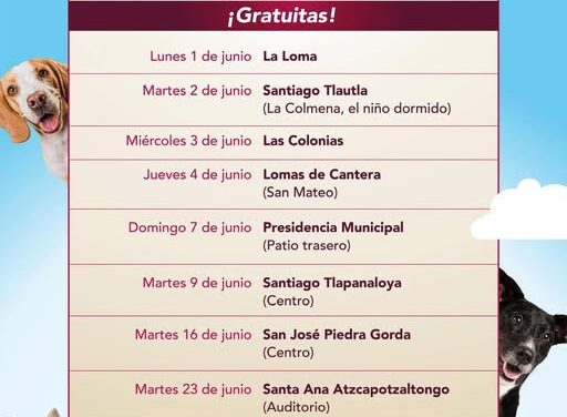 Calendario de esterilización canina y felina para el mes de junio en Tepeji del Río
