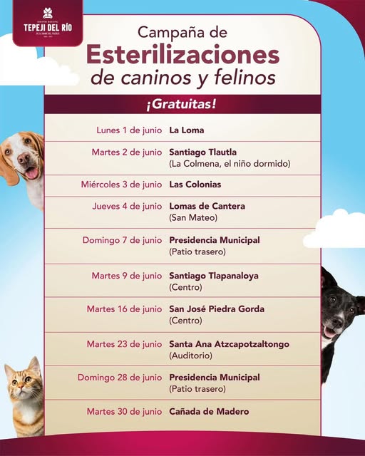 Calendario de esterilización canina y felina para el mes de junio en Tepeji del Río
