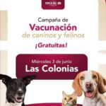 Este miércoles 3 de junio habrá campaña de vacunación antirrábica canina y felina en Las Colonias