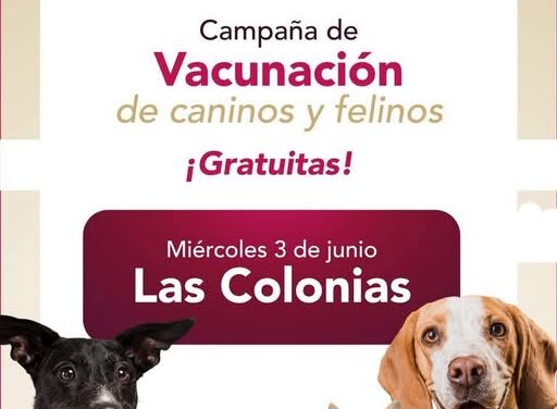 Este miércoles 3 de junio habrá campaña de vacunación antirrábica canina y felina en Las Colonias