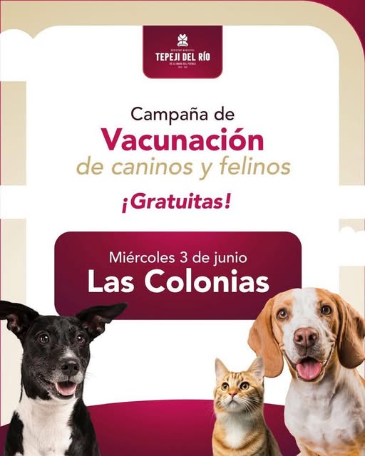 Este miércoles 3 de junio habrá campaña de vacunación antirrábica canina y felina en Las Colonias