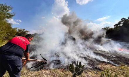 PC Tula atienden reporte de incendio de pastizales en Tula de Allende