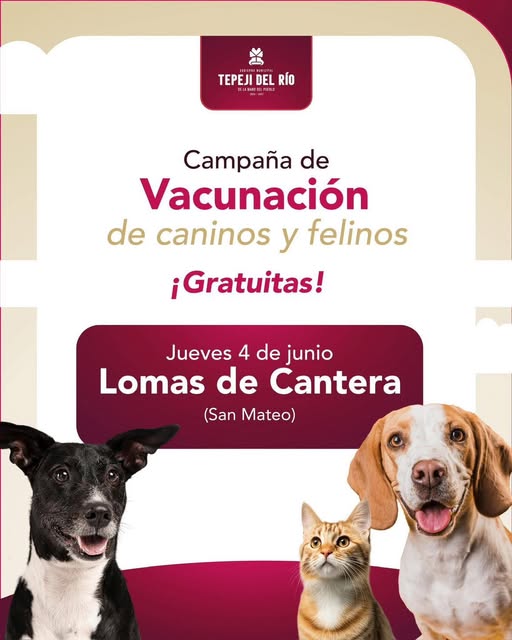 La Unidad Móvil de vacunación antirrábica estará recorriendo las calles de la localidad de Lomas de da Cantera