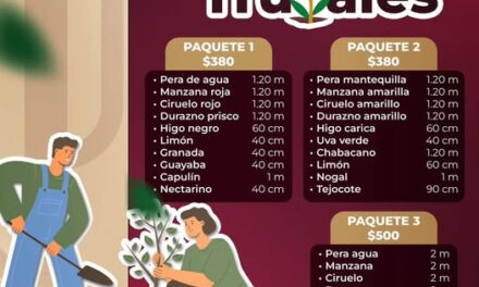 Adquiere paquetes de árboles frutales en Atotonilco de Tula