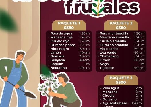 Adquiere paquetes de árboles frutales en Atotonilco de Tula
