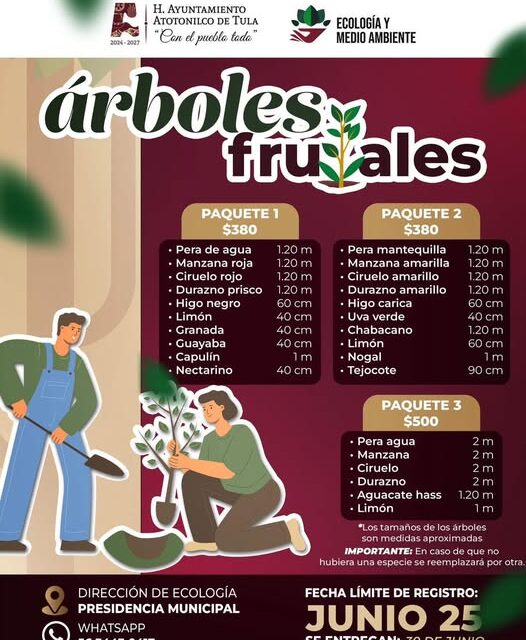 Adquiere paquetes de árboles frutales en Atotonilco de Tula