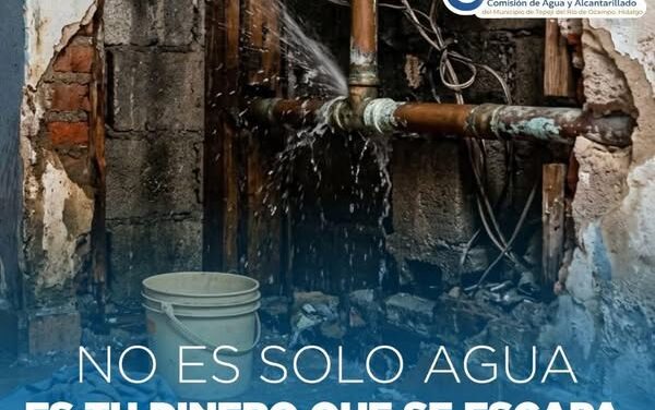 ¿Sabías que tu casa podría estar perdiendo agua sin que te des cuenta?