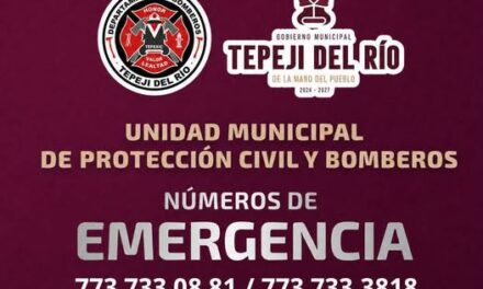 MEDIDAS PREVENTIVAS POR LA DEPRESION TROPICAL «BORIS»