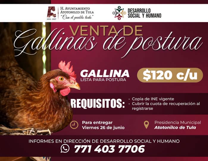 Abren convocatoria 𝗽𝗮𝗿𝗮 𝗲𝗹 𝗽𝗿𝗼𝗴𝗿𝗮𝗺𝗮 𝗱𝗲 𝗚𝗮𝗹𝗹𝗶𝗻𝗮𝘀 𝗱𝗲 𝗣𝗼𝘀𝘁𝘂𝗿𝗮 en Atotonilco de Tula