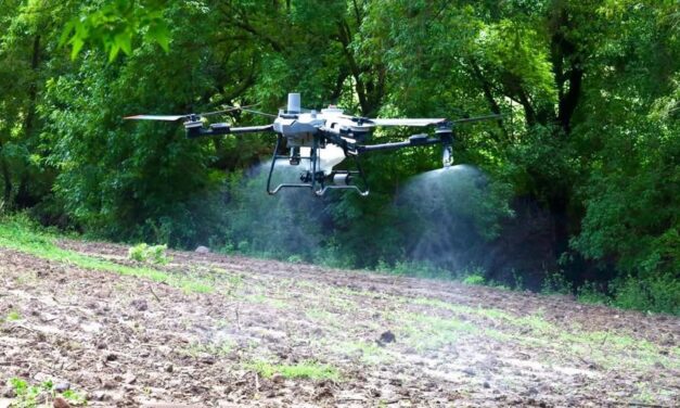 Tepeji continúa impulsando el uso de drones agrícolas para la aplicación de herbicidas preemergentes y fertilizantes