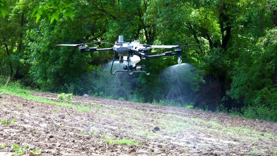 Tepeji continúa impulsando el uso de drones agrícolas para la aplicación de herbicidas preemergentes y fertilizantes