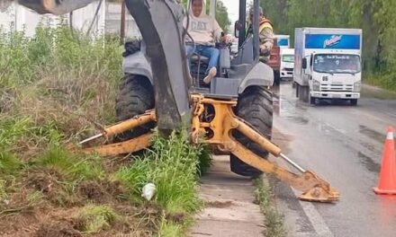 Continúan trabajos de limpieza y mantenimiento en espacios públicos de Tula de Allende