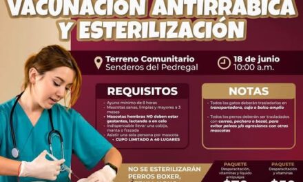 No olvides que hoy hay campaña de esterilización canina y felina así como vacunación antirrábica en Senderos del Pedregal