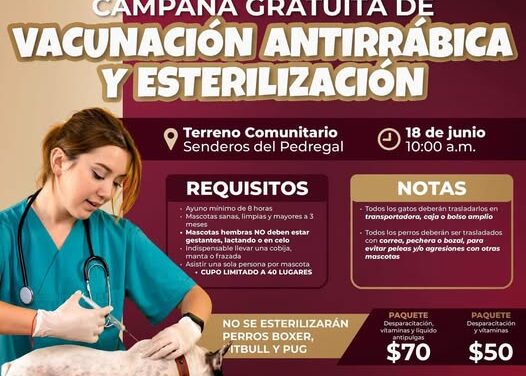 No olvides que hoy hay campaña de esterilización canina y felina así como vacunación antirrábica en Senderos del Pedregal