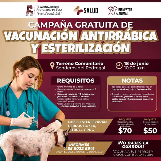 No olvides que hoy hay campaña de esterilización canina y felina así como vacunación antirrábica en Senderos del Pedregal