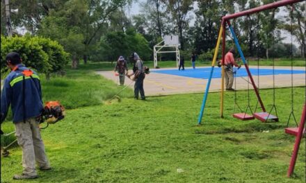 Realizan labores de limpieza, poda y mantenimiento en el parque del Infonavit El Cerrito