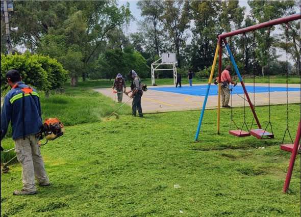 Realizan labores de limpieza, poda y mantenimiento en el parque del Infonavit El Cerrito
