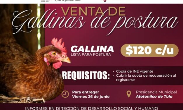 Continúa abierta la convocatoria para el Programa de Gallinas de Postura en Atotonilco de Tula