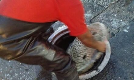 Bomberos Tula atienden diversos reportes tras la tormenta registrada en el municipio