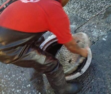Bomberos Tula atienden diversos reportes tras la tormenta registrada en el municipio