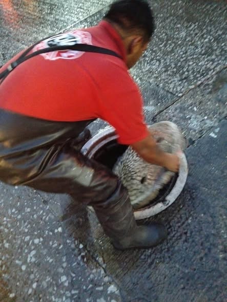 Bomberos Tula atienden diversos reportes tras la tormenta registrada en el municipio