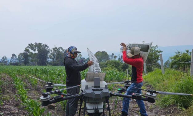 Fortalecen sector agropecuario de Tepeji con alumnos de Ingeniería en Agricultura, Seguridad y Soberanía Alimentaria