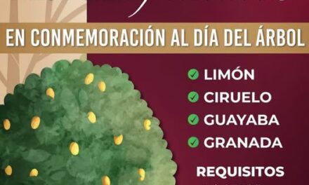 Atotonilco de Tula donará 𝗮́𝗿𝗯𝗼𝗹𝗲𝘀 𝗳𝗿𝘂𝘁𝗮𝗹𝗲𝘀 en Conmemoración del 𝗗𝗶́𝗮 𝗱𝗲𝗹 𝗔́𝗿𝗯𝗼𝗹